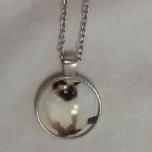 Pretty Kitty picture Necklace - Picture 2 of 4